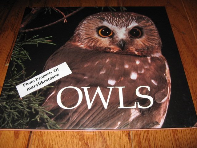 Owl book Michael George 32 pages beautiful pictures teacher item