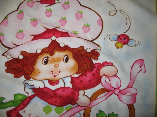 Image 3 of Strawberry Shortcake basket  child soft Flannel blanket finished edge