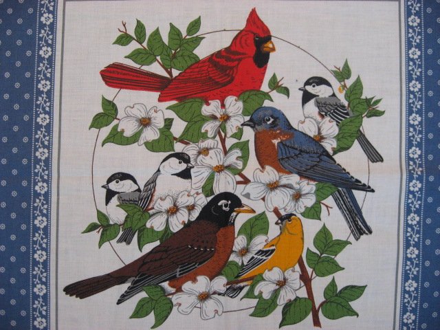 Image 1 of Robin Chickadee Bluebird Cardinal pictures Set of 2 same Pillow Panels Fabric 