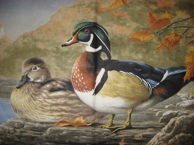 wood duck Mallard Duck birds river scenic sewing cotton Fabric wall panel /
