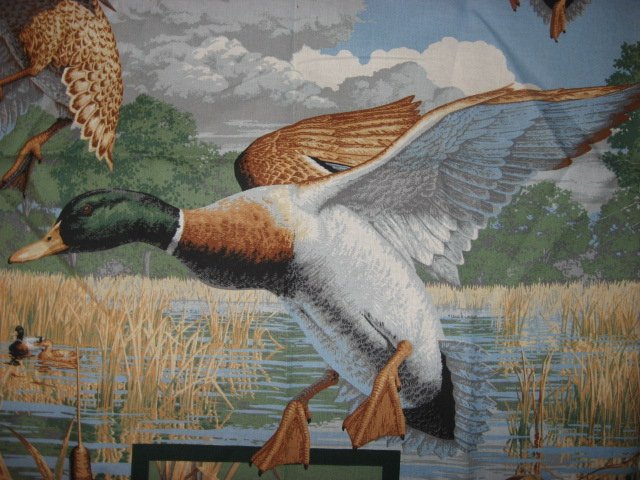 Image 1 of Mallard Ducks birds and cattails in a marsh sewing cotton Fabric wall panel //