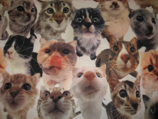 Cat fleece crate blanket curiously looking at camera handmade 29X36 