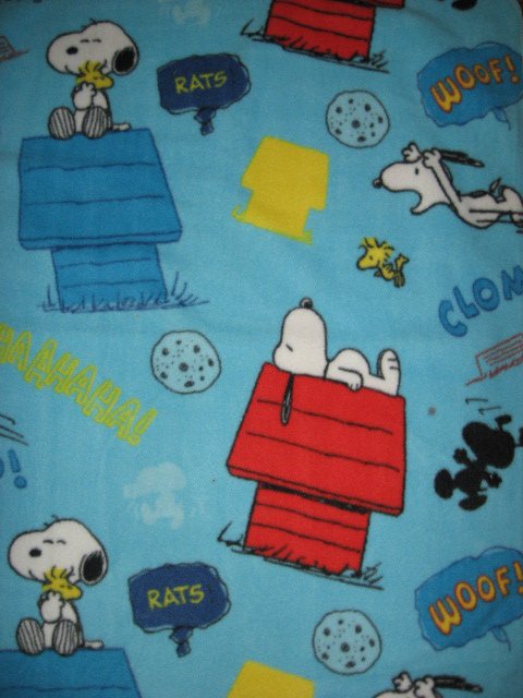 Image 0 of Peanuts Snoopy Woodstock dog house baby blanket Handmade with licensed fleece 