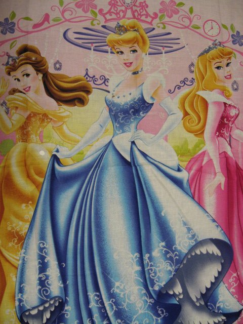 Image 1 of Princess Cinderella, Aurora, and Belle Fabric wall or child crib panel to sew
