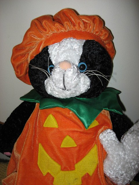 Image 2 of Halloween doll black cat and ghost with pumpkin costume Ages 3 and up