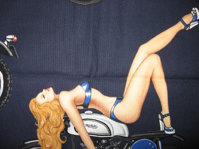 Image 1 of Sexy Motorcycle Pinup Girl Biker Fabric 1/4 yard out of print 2006