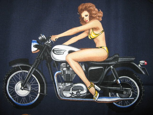 Image 2 of Sexy Motorcycle Pinup Girl Biker Fabric 1/4 yard out of print 2006