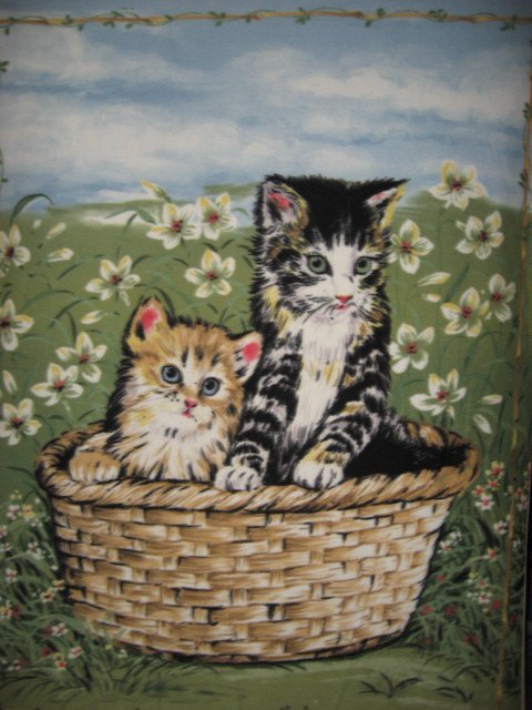 Image 0 of Cats kittens in basket Anti pill Fleece Blanket