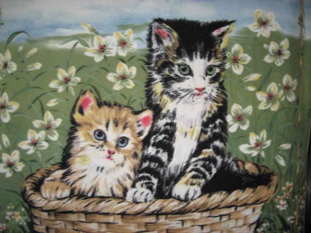 Image 1 of Cats kittens in basket Anti pill Fleece Blanket