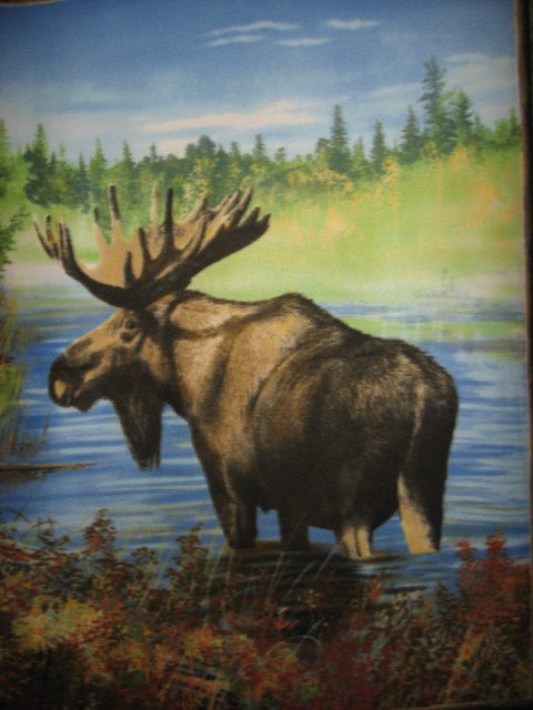 Moose fleece blanket with finished edges