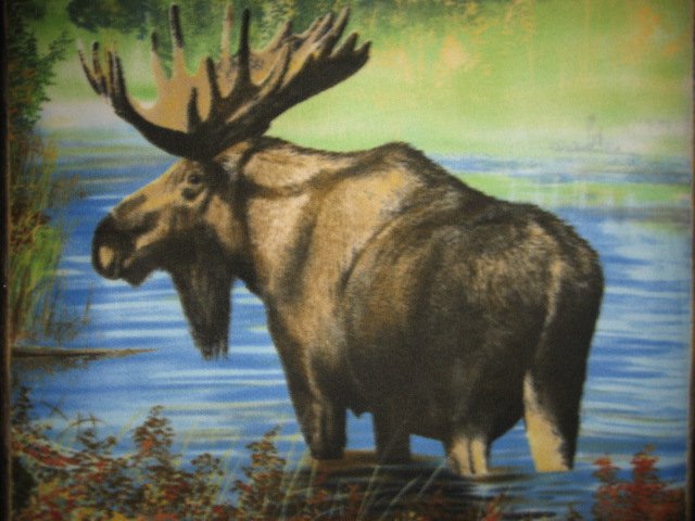 Image 1 of Moose fleece blanket with finished edges