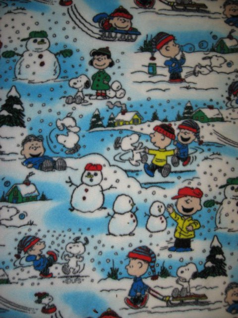 Peanuts Snoopy Charlie Brown 29 by36 toddler blanket Handmade  licensed fleece