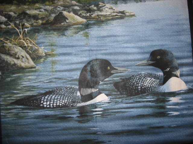 Image 2 of Loons on a lake  set of 2 Pillow Panels of 100% cotton Fabric 