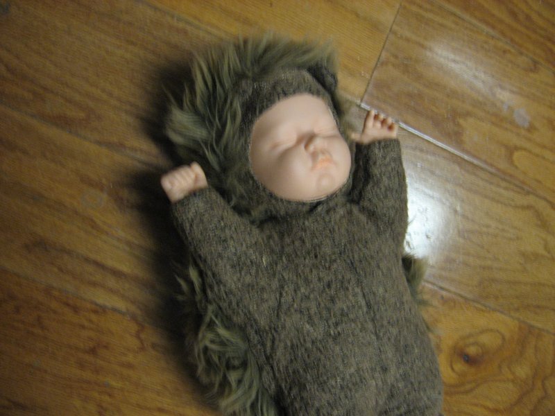 Anne Geedes  Plush Porcupine  doll 16 for 24 months and older