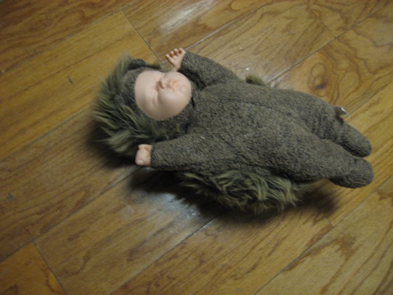 Image 1 of Plush Porcupine  doll 16