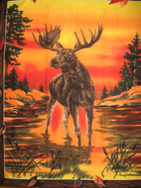 Image 0 of Moose wilderness sunset fleece blanket with finished edges