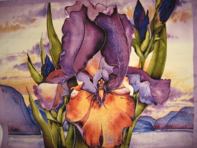 Iris flower Southwest antipill fleece blanket with finished edges