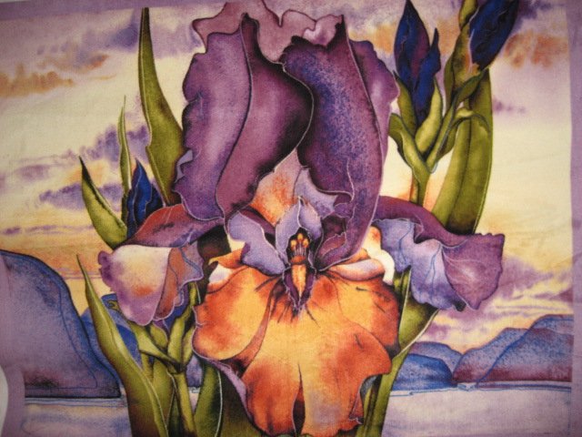 Image 0 of Iris flower Southwest antipill fleece blanket with finished edges