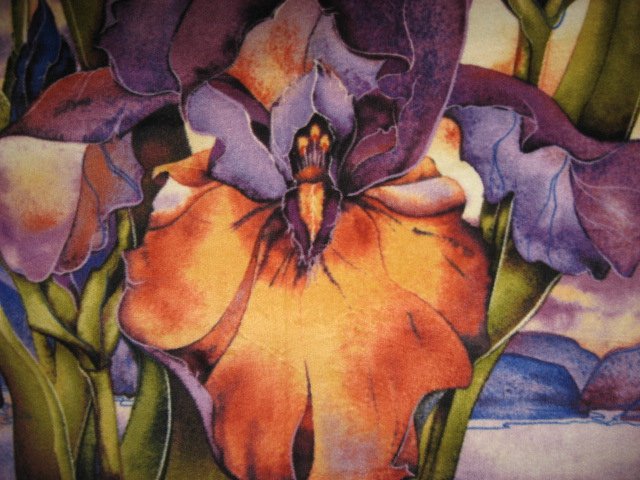 Image 1 of Iris flower Southwest antipill fleece blanket with finished edges