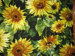 Thumbnail of Michael Miller Sunflower 100% cotton fabric 15 1/2x22 piece very rare