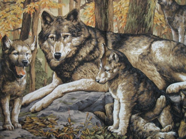 Image 1 of Wolf Family Cubs Forest scene fabric Wall Panel   