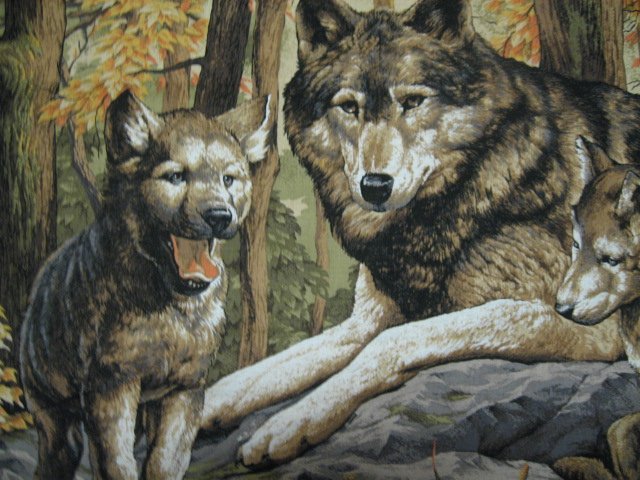 Image 2 of Wolf Family Cubs Forest scene fabric Wall Panel   