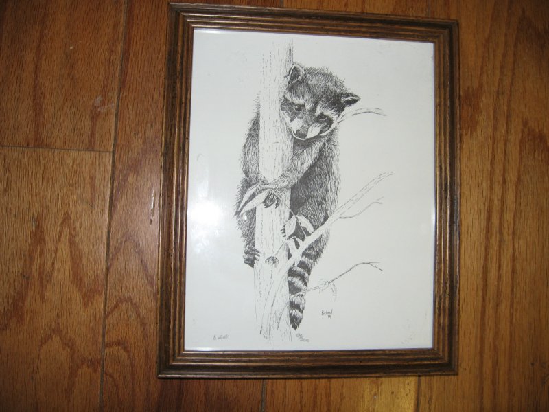 Image 0 of Raccoon animal picture tree black white framed 9 X11 Bicknell signed numbered 