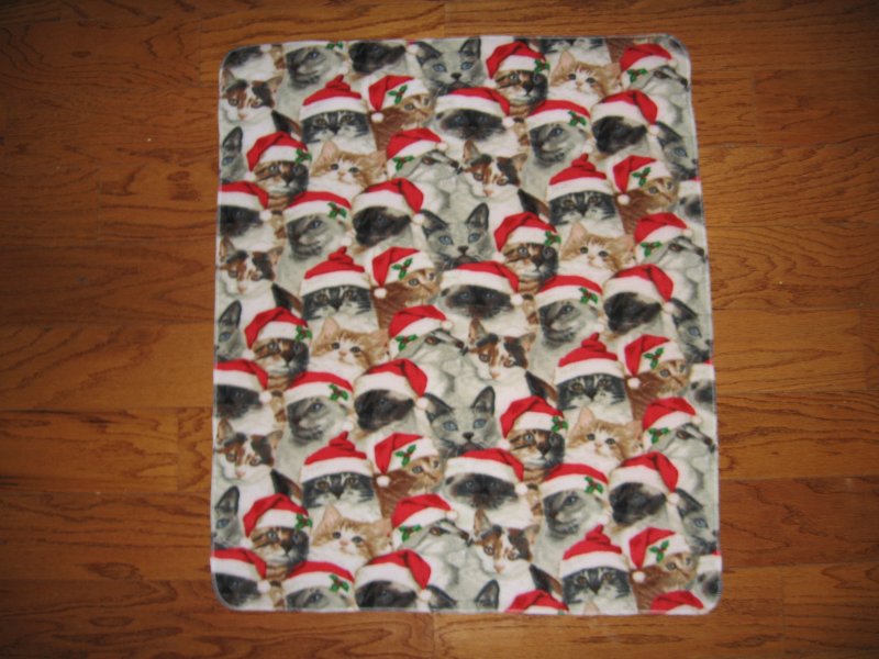 Image 0 of kitten cat kitty Christmas hat fleece baby blanket