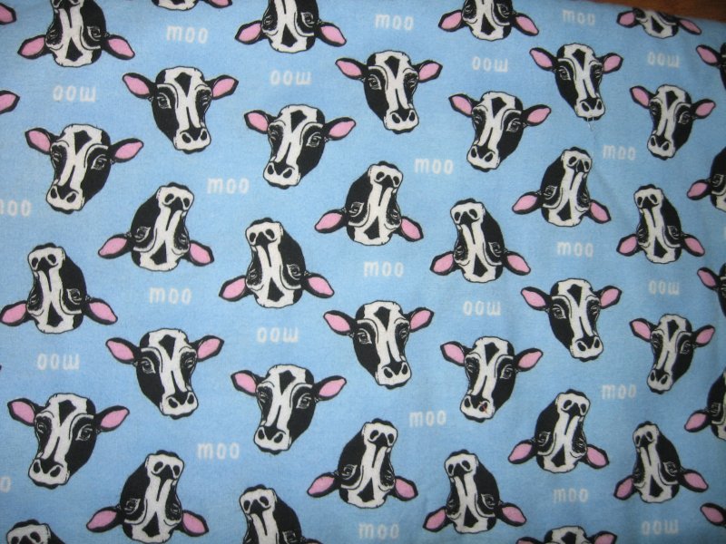 cow head face black and white  on powder blue flannel last yard