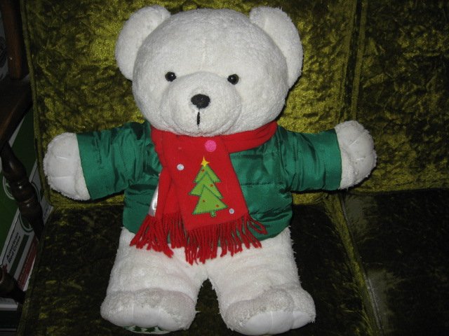 Image 0 of DanDee collectible Xmas Teddy Bear jacket and scarf 2016  19