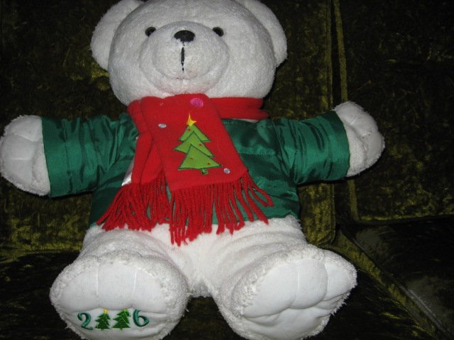 Image 1 of DanDee collectible Xmas Teddy Bear jacket and scarf 2016  19