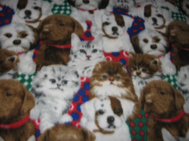 Image 1 of cat dog  breed colorful collars plush polar fleece throw Blanket         