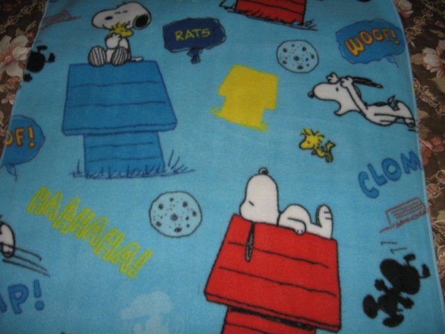 Image 1 of Peanuts Snoopy Charlie Brown Dog House 36