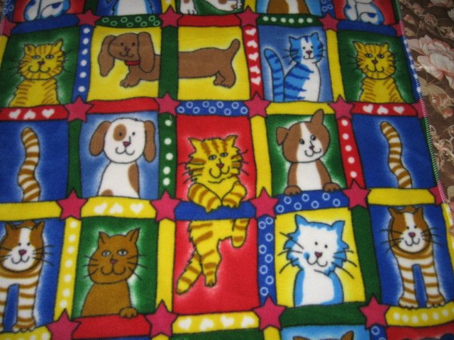 Image 0 of cat dog squares primary colors whimsical fleece toddler blanket  