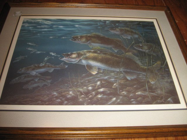 Walleye fish scene no glare glass framed reproduction   artist Doughty