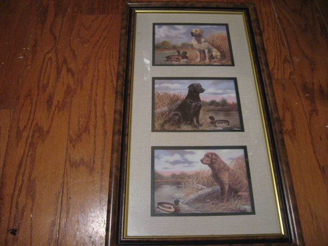 Labrador Dogs Three  framed 