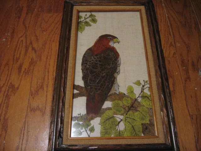 Image 0 of Peregrine Falcon bird feathers leafs rustic frame 