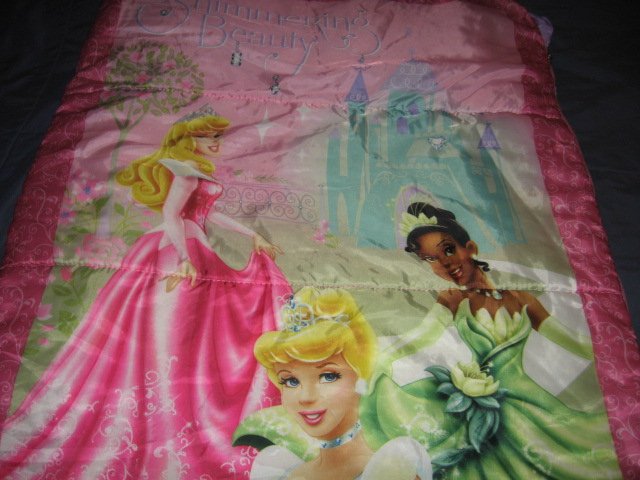 Image 0 of Disney sleeping beauty friends like new comforter or sleeping bag 52X55 inches/