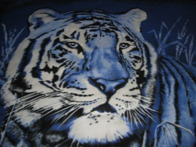 Image 0 of Tiger exquisite blue  bed size Fleece blanket Panel very rare