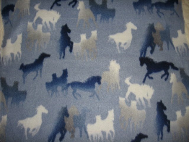 Horse picture on light blue fleece 