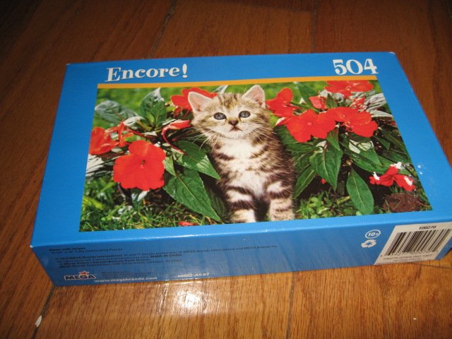 Image 0 of Kitten stripes 504 piece puzzle 10 X 18 inches 