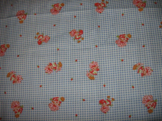 Strawberry Shortcake checked background cotton fabric 19 inch by 22 inch 