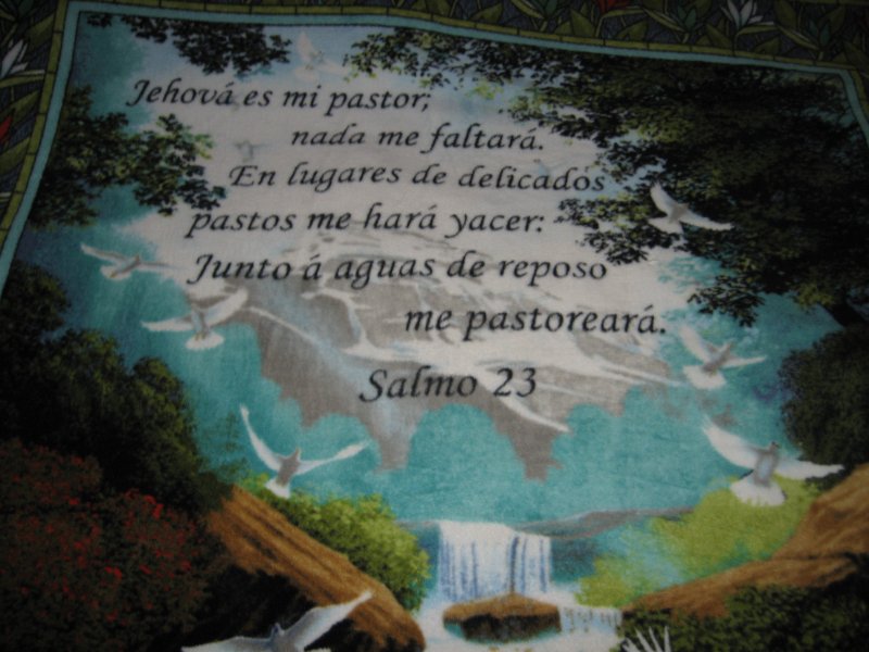 Image 0 of Lord Is My Shepard Spanish words  Prayer Fleece Wall Panel 