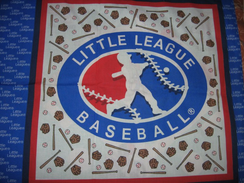 Little League characters baseball bats gloves set of two pillow panels
