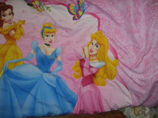 Image 0 of Disney Three Princess silky soft quilt 