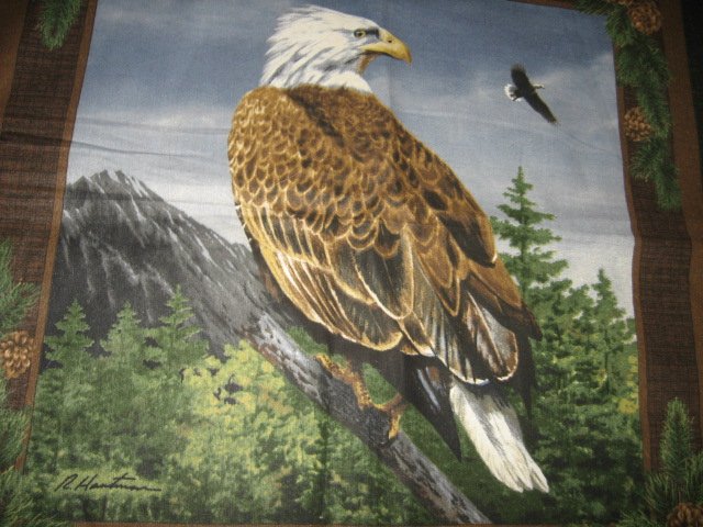 Image 0 of Eagle in habitat  fabric pillow panels set of two