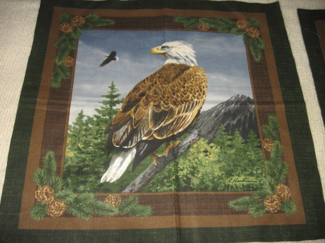 Image 1 of Eagle in habitat  fabric pillow panels set of two