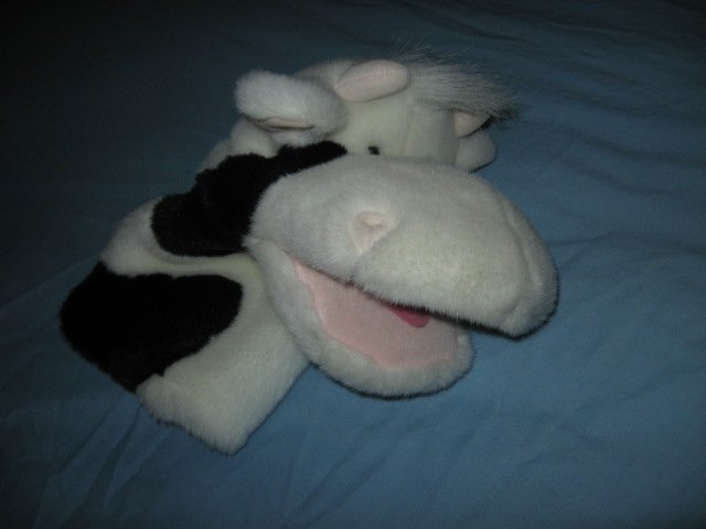 Image 0 of cow hand puppet teacher gift  10 inches by 5 inches 