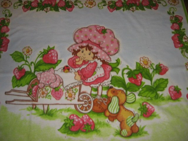 Strawberry Shortcake Wheelbarrow Garden fleece bed blanket 