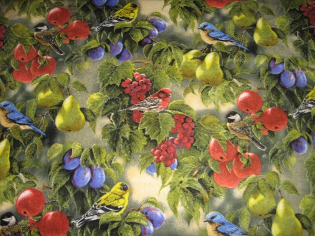 Bird birds and Grape Vines grapes  Bed Size Fleece Blanket large